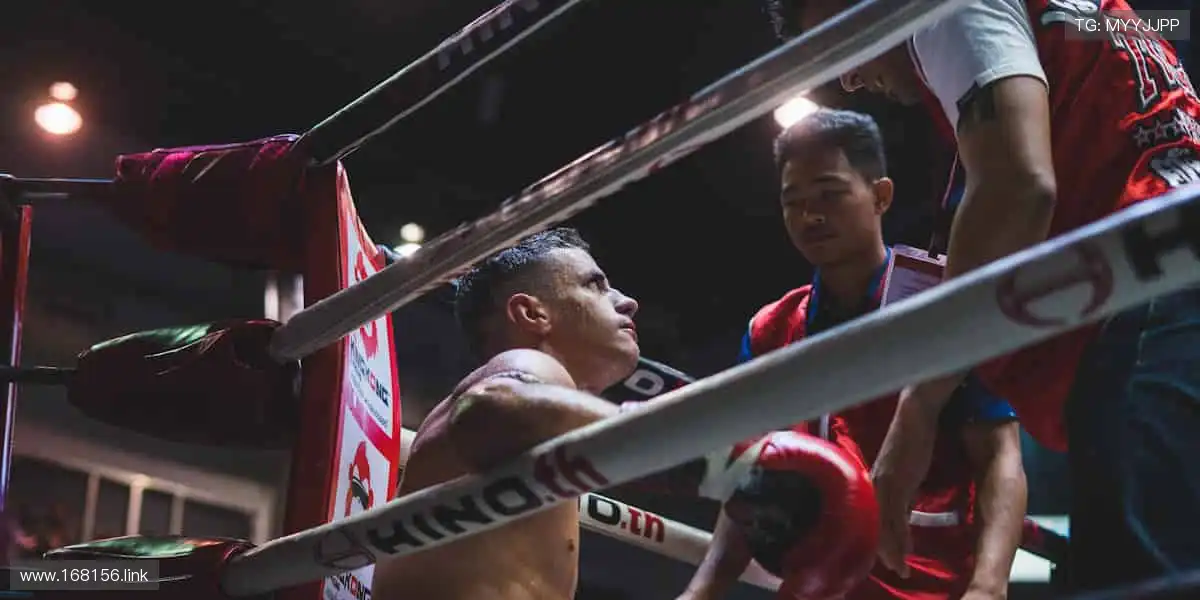 随时随地，直击赛场！📱🎯